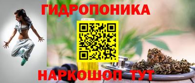 гашик Свободный
